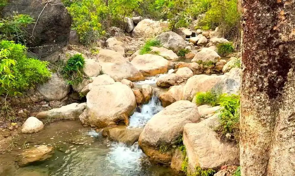 secret waterfall rishikesh photos